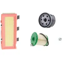 RIDEX 4055F24250 Filterset