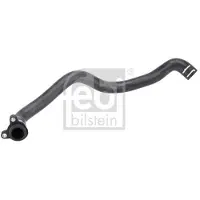 FEBI BILSTEIN 194909 Radiateurslang