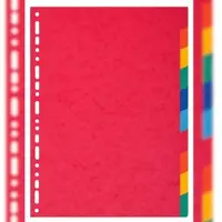 Exacompta 10x Tabbladen in glanskarton 225g - 10 tabs - A4 - Geassorteerd - 1410E