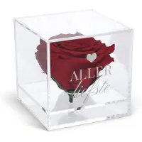 Yoursurprise Preserved rose in glas (plexi)