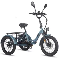 Fafrees 250W Dik Klapfiets E-Bakfiets 20 Inch 48V 18.2Ah Accu, Hydraulische Schijfremmen Elektrische Fiets, Elektrische Vrachtsfiets 180kg, Blauw Driewieler E-Bike