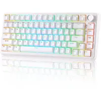 Yunzii B75 Wired - Mechanisch Gaming Toetsenbord - RGB Verlichting - 75% Layout - Hot-Swappable - Cherry Profile - PBT Keycaps - Gasket Mount - Bedraad - Wit