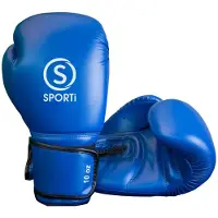 Sporti France Boxing Gloves Blauw