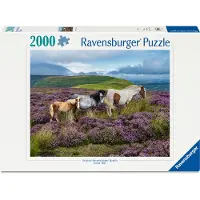 Ravensburger Wild Horses in the Heather Puzzel (2000 stukjes)