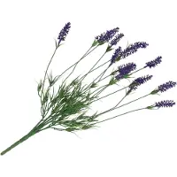 DK Design Daan Kromhout - Kunstbloem - Kunsttak - Lavendel - Paars - 62cm