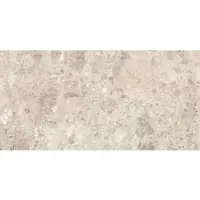Ragno Tegel 60 x 120 cm - Beige - Keramiek - Rechthoekig - 2 stuks - 1,44 m2 - Natuursteenlook - Vloertegels - Wandtegels - Tegels - R8JP