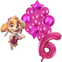 Amscan Paw Patrol Skye ballonnen pakket - 61x91cm - Folie Ballon set - Themafeest - Verjaardag - 6 jaar - Ballonnen - Versiering - Helium ballon