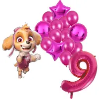 Amscan Paw Patrol Skye ballonnen pakket - 61x91cm - Folie Ballon set - Themafeest - Verjaardag - 9 jaar - Ballonnen - Versiering - Helium ballon