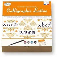 Aladine kalligrafie set Latijns luxe beginners gevorderden creatief.