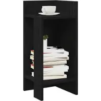 vidaXL Bijzettafels 2 st met plank 25,5x27x60 cm zwart