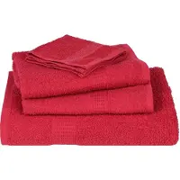vidaXL Badhanddoeken FROGN 2 st 100x150 cm 360 g/m² rood