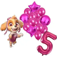 Amscan Paw Patrol Skye ballonnen pakket - 61x91cm - Folie Ballon set - Themafeest - Verjaardag - 5 jaar - Ballonnen - Versiering - Helium ballon