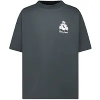 Cars T-shirt met backprint antraciet Grijs Jongens Viscose Ronde hals Backprint - maat 140