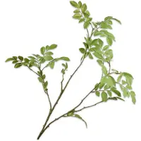 Silk-ka Kunsttak Lijsterbes Groen H 76 Cm