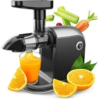 Aura Sapcentrifuges Groenten en Fruit – Slowjuicer Universeel Gebruik – Juicer Vaatwasser Bestendig – Inclusief Reinigingsborstel & EBook - Zwart - 40cm x 17cm x 34cm