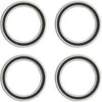 Fulcrum R0-025 Bearings Zilver
