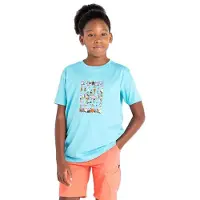 Dare 2b Dare2b Trailblazer T-shirt Met Korte Mouwen Blauw 9-10 Years Jongen
