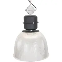 Steinhauer Hanglamp Clearvoyant 7695ZW Zwart