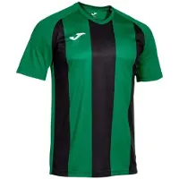 Joma Inter Iv T-shirt Met Korte Mouwen Groen L Man