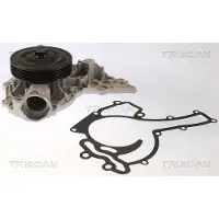 TRISCAN 8600 23094 Waterpomp