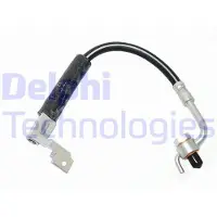 Delphi LH6029 Remslang