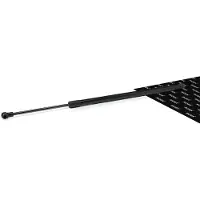 RIDEX 219G1398 Gasveer achterklep