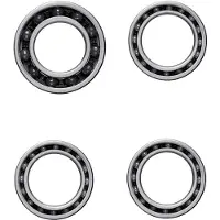 Ceramicspeed Zipp-5 Coated Lagers