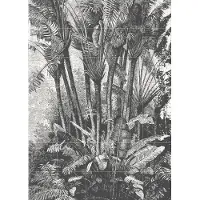 IXXI Palms in Water, Aster Edition - 100 x 140 cm - Gratis ophangtool - Grote wanddecoratie en posters - Naturalisme, Illustraties, Vintage