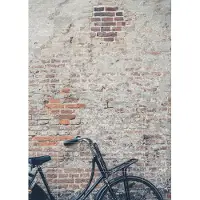 IXXI Dutch Bike, Photolovers - 100 x 140 cm - Grote wanddecoratie en posters - Fotografie, Vintage,