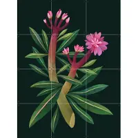 IXXI Oleander, Flaming Garden - 60 x 80 cm - Gratis ophangtool - Grote wanddecoratie en posters - Illustraties, Planten, Botanisch, Bloemen