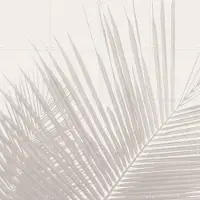 IXXI Neutral Tropical palm leaves, Bloomery Decor - 80 x 80 cm - Grote wanddecoratie en posters - Minimalisme, Fotografie, Naturalisme, Woonkamer
