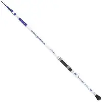 Tubertini Boater Carpfishing Rod Zilver 2.40 m / 200 g