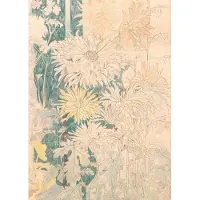 IXXI Chrysanten, Aster Edition - 100 x 140 cm - Gratis ophangtool - Grote wanddecoratie en posters - Vintage, Bloemen