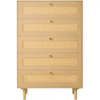 Vevor Rattan Commode met 5 Laden
