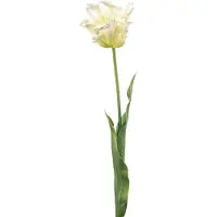 Emerald - Kunstbloem Tulp Parrot 68cm Wit/groen - Kunstplant voor binnen