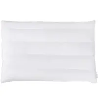 LONGZIMING Ultra Platte Kussens – 5 cm Hoog – Slim Bed Kussen – Dunne Slaapkussen voor Buikslapers – Standaard 40x60 cm