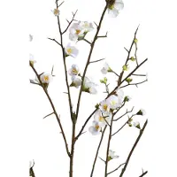 Ptmd kunstbloem blossom - 81.5x79x137cm