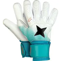 Derbystar Classico V23 keepershandschoenen 502064