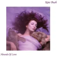 Import Hounds Of Love