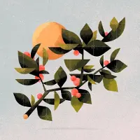 IXXI Plont 2, Studio Muti - 120 x 120 cm - Grote wanddecoratie en posters - Speels, Illustraties, Digitale Kunst, Grafisch Ontwerp, Woonkamer