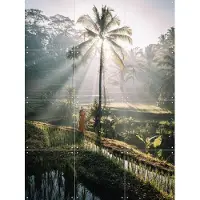 IXXI Bali, Tristan Zhou - 60 x 80 cm - Gratis ophangtool - Grote wanddecoratie en posters - Fotografie, Kleurrijk, Naturalisme, Woonkamer, Slaapkamer