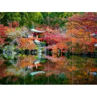 IXXI Japanese Garden Autumn, Jan Becke - 80 x 60 cm - Grote wanddecoratie en posters - Fotografie, Kleurrijk, Naturalisme, Impressionisme, Woonkamer