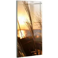Wallfluent Glasschilderij - Tarwe in het gouden uur Glazen Schilderij - 50x100 cm - Bruin Verticale Muurschildering - Natuur Foto Glas - Schilderij Op Glas - Glas Schilderij