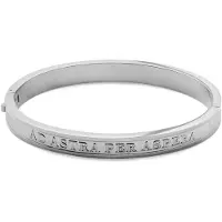 Lucleon Arie Zilverkleurige Ad Astra Bangle-armband