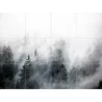 IXXI Foggy Woods 6, Mareike Böhmer - 80 x 60 cm - Gratis ophangtool - Grote wanddecoratie en posters - Grafisch Ontwerp, Naturalisme, Fotografie