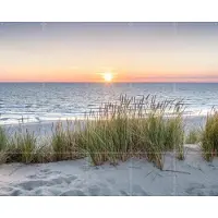 IXXI Panoramic Beach, Jan Becke - 100 x 80 cm - Gratis ophangtool - Grote wanddecoratie en posters - Naturalisme, Fotografie, Slaapkamer, Woonkamer