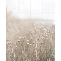 IXXI Coastal Flowers, Mareike Böhmer - 80 x 100 cm - Grote wanddecoratie en posters - Naturalisme, Minimalisme, Fotografie, Slaapkamer, Woonkamer