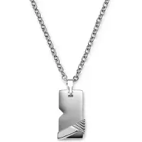 Lucleon Moderne Zilverkleurige Dogtagketting