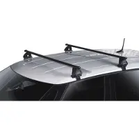 Green Valley Dakdragers geschikt voor Polestar 2 2020-heden Easy One Evo zwart