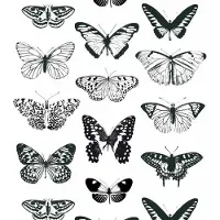 Oz Vlinder behang 3261